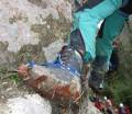 Prika�i pove�ano sliko...